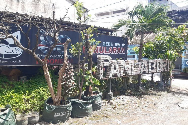 Urban Farming di Panularan Solo, Sulap Lahan Kosong Sarang Ular Jadi Kebun Produktif