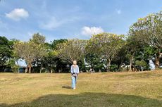 6 Spot Foto di Taman Bambu Jakarta Timur, Ada Pohon dan Danau