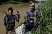 Pakar IPB Beberkan Cara Berantas Lonjakan Populasi Ikan Sapu-sapu