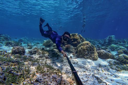 Wisatawan yang Hendak Snorkeling dan Diving di TN Komodo, Diimbau Cek Kesehatan Dulu