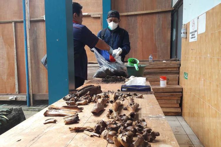 Tim Dokkes Polda Jateng sedang memeriksa potongan tulang-tulang yang ditemukan di areal pembanguan puskesmas Pringsurat, Kabupaten Temanggung, Jawa Tengah, Minggu (17/7/2022).
