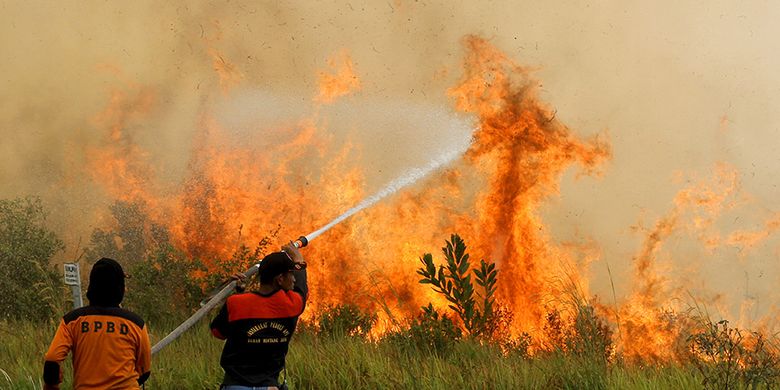 Musim Kering Lebih Lama 313 Karhutla Terjadi Di Bangka Belitung