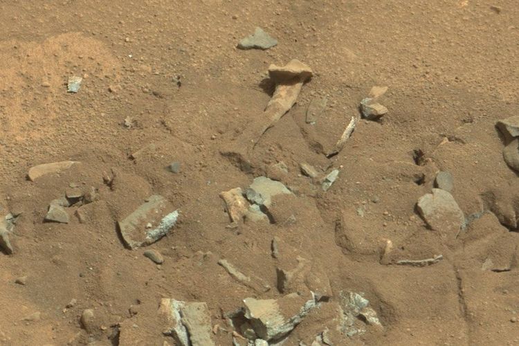 Gambar batuan Mars yang mirip tulang manusia. Gambar ini diambil Curiosity Rover NASA melalui MastCam pada 14 Agustus 2014.