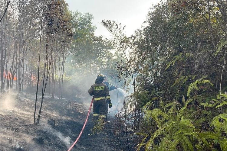 Pascakebakaran 35 Hektare di Trans Barelang, Warga Diwanti-wanti Tak Bakar Lahan