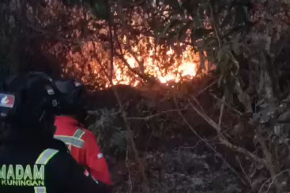 BTNGC, BPBD dan Damkar Kabupaten Kuningan Jawa Barat berusaha memadamkan kobaran api di Kecamatan Pasawahan yang masuk area Taman Nasional Gunung Ciremai, Jumat (25/8/2023)