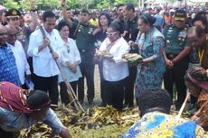 Sambutan Adat untuk Jokowi di Papua, Mulai dari Koteka hingga Bakar Batu