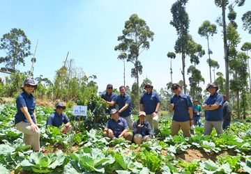 SMI dan Pemprov Jabar Pulihkan Lahan Kritis, Panen Perdana di Cihawuk
