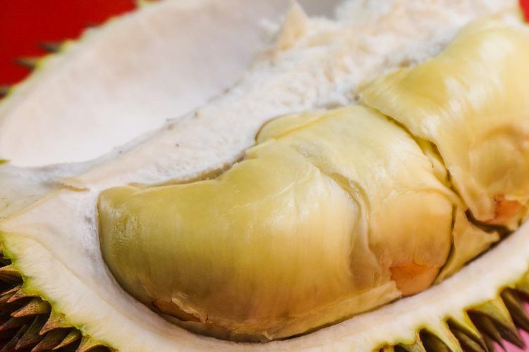 Ilustrasi Durian, buah Durian. 
