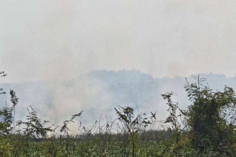 Penyebab Kabut Asap di Samarinda dan Dampak Kemarau Panjang