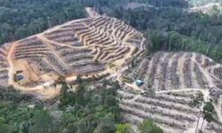 Buku Khotbah tentang Hutan Diluncurkan, Beri Inspirasi bagi Pemuka Agama 