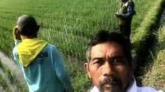 Petani Blitar: Penurunan Harga Pupuk Subsidi Tekan Risiko Kerugian