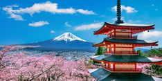 Jelajahi Keindahan Jepang secara Eksklusif dengan Private Tour Ayana Global Mandiri