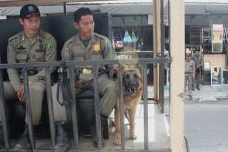 Sat Pol PP Nunukan pamerkan anjing pelacak dalam  kegiatan gelar operasi Penertiban IMB. Pengadaan anjing pelacak oleh Sat Pol PP Nunukan saat ini menjadi sorotan dewan karena disinyalir tidak melalui prosedur. 