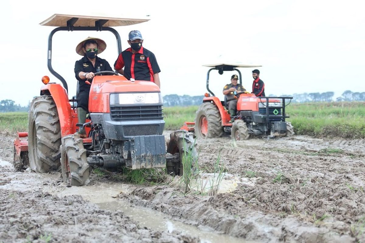 Petani di Kabupaten Manokwari, Papua Barat, saat menanam menggunakan mesin transplanter pada musim tanam kedua tahun ini.