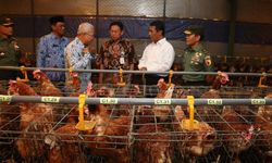 Mentan Amran: Inovasi Produk Pertanian Harus Menyejahterakan Rakyat 