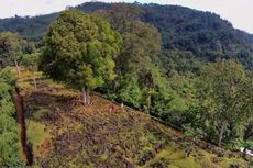 Gunung Padang di Cianjur Ditetapkan sebagai Situs Nasional