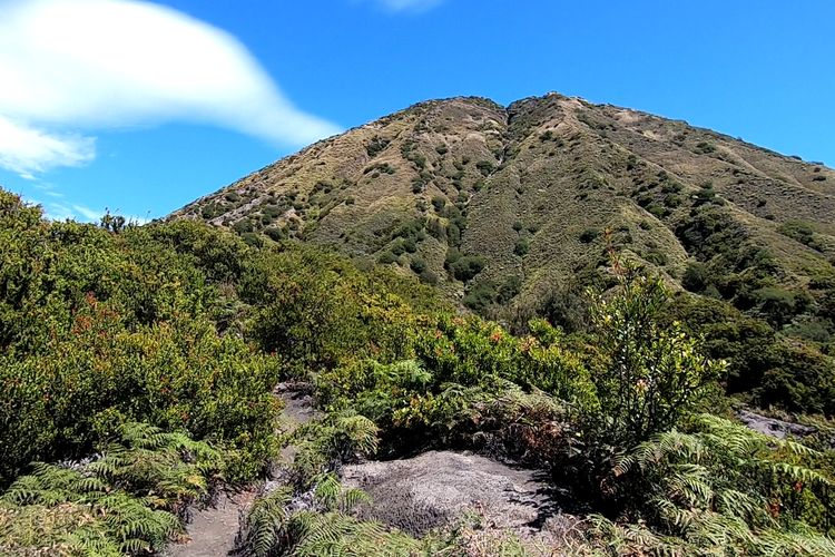 Jalur pendakian Gunung Batok di kawasan kaldera Gunung Bromo.