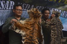 Polisi Bongkar 2 Kasus Kejahatan terhadap Satwa, 1 Tersangka Meninggal