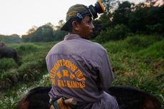 Para Penjaga Gajah Sumatera