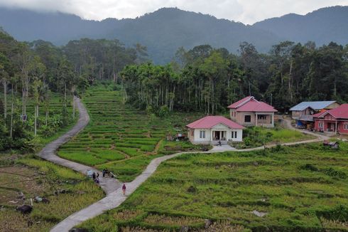 Panduan Lengkap ke Desa Wisata Koto Kaciak, Simak Sebelum Datang