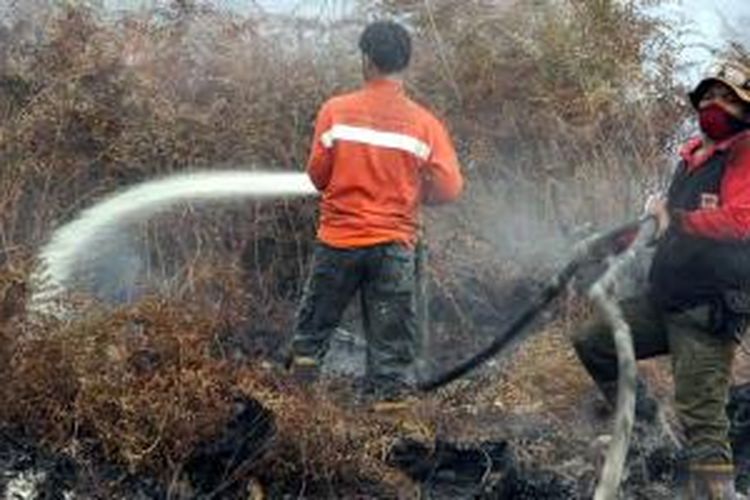 Anggota Manggala Agni sedang sibuk memadamkan api yang menyala secara sporadis di Suaka Margasatwa Kerumutan, Rabu (28/10/2015).