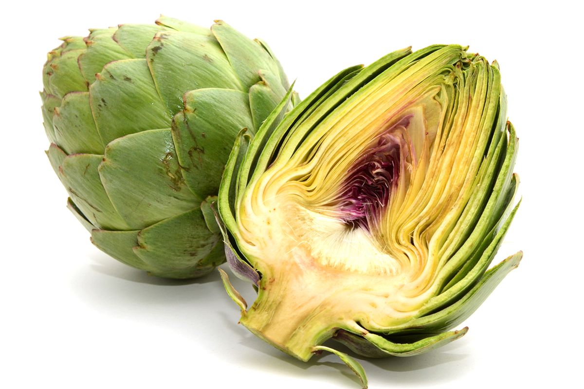 Ilustrasi Sayuran Artichokes