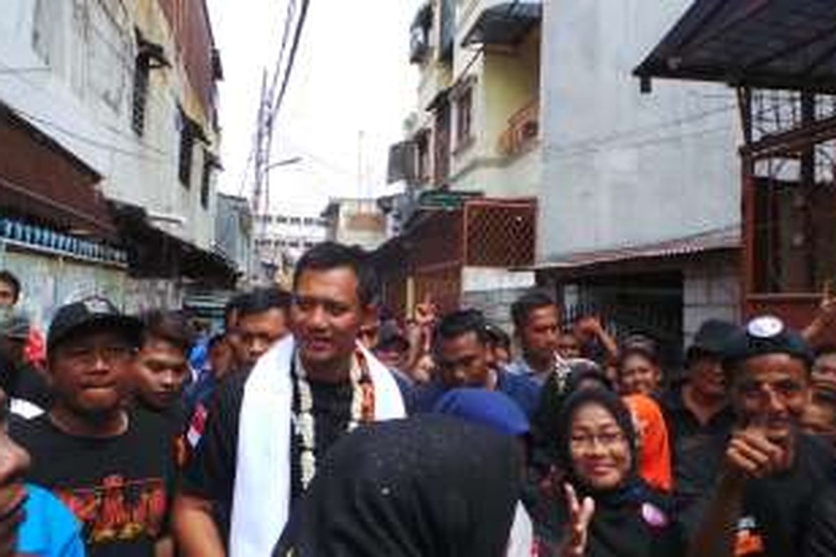 Calon gubernur DKI Jakarta Agus Harimurti Yudhoyono berkampanye di kawasan Tanah Sereal, Tambora, Jakarta Barat, Kamis (29/12/2016).