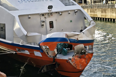 Cara Menjaga Tanaman Poinsettia Tetap Hidup di Ruangan Selama Natal