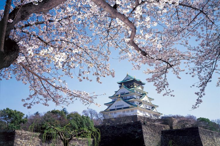 Pemandangan Osaka Castle saat musim semi, dihiasi bunga sakura. 