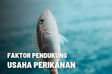 Faktor Pendukung Usaha Perikanan di Indonesia 