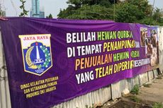 Pemprov DKI: Kondisi Hewan Kurban di Jakarta Sehat