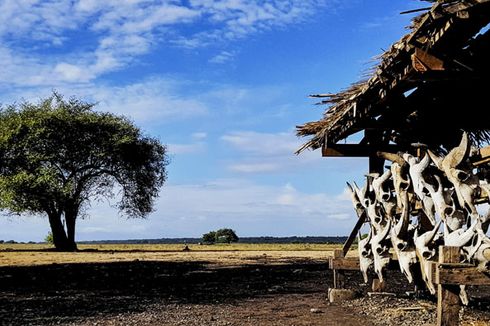 TN Baluran: Wisatawan yang Nakal Silakan Pulang