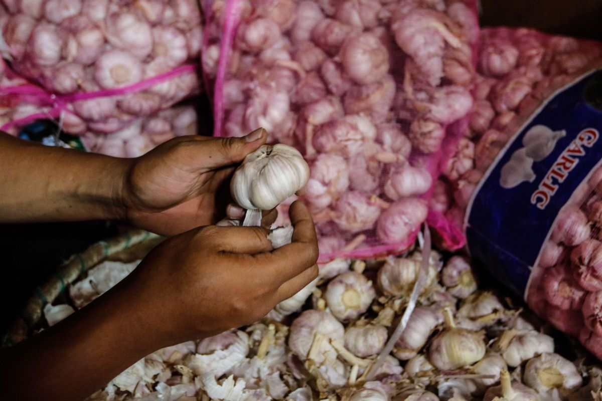 Pedagang mensortir bawang putih di Pasar Induk Kramat Jati, Jakarta Timur, Senin (10/02/2020).