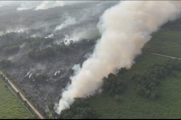 679 Hotspot Terpantau Semalam di Kaltim, Paser Tertinggi dengan 284 Titik