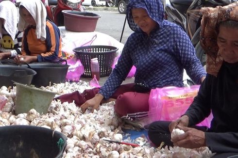 Impor Bawang Putih Terganggu Akibat Virus Corona, Harganya Terus Melonjak