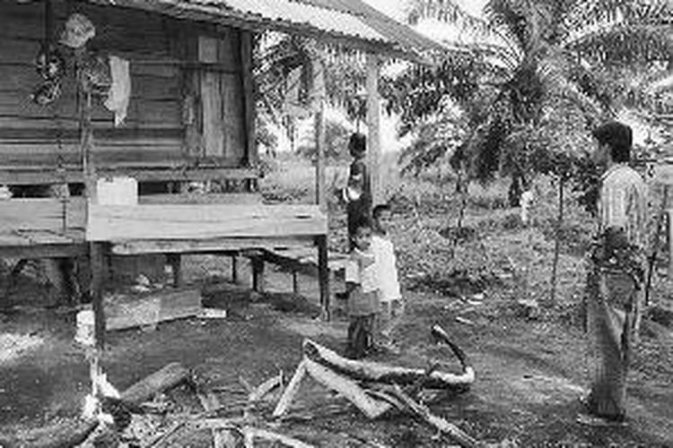 Konflik gajah dan manusia di Desa Balai Makam dan di seputar Duri, Kecamatan Mandau, Bengkalis, Riau, sudah dalam taraf membahayakan. Korban kedua belah pihak sudah sering jatuh, tetapi belum ada penyelesaian. 
