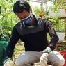 Banyak Dibuang Warga ke Sungai, Pria Ini Jadikan Diaper sebagai Media Tanam