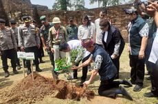 11.920 Pohon Ditanam di Candi Muaro Jambi, Djarum Foundation Beberkan Kriterianya