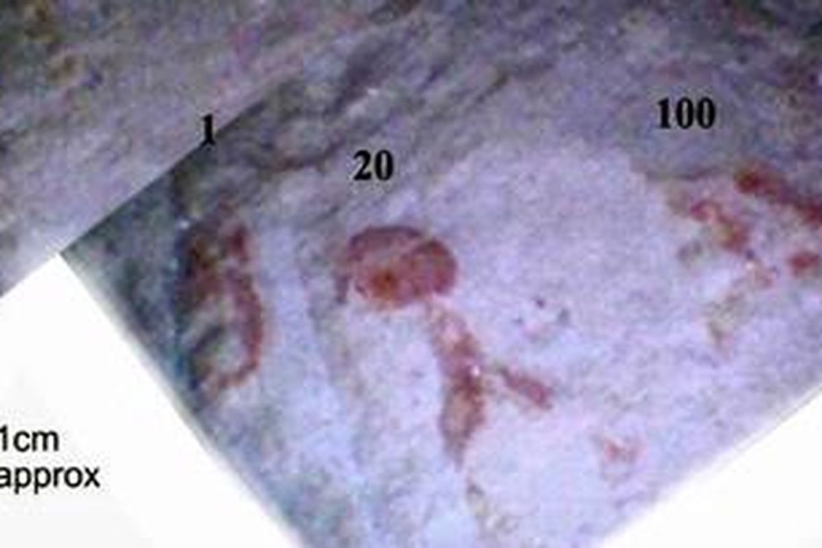 Hieroglif gelap dan aneh ini ditemukan di dasar raung tersembunyi dalam Piramid Besar Giza di Mesir. 