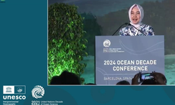 Indonesia Paparkan Strategi Kurangi Kesenjangan Bencana Laut di Forum PBB