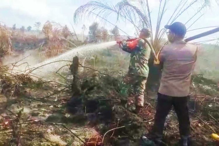 Petugas gabungan melanjutkan pemadaman karhutla di Desa Pauh, Kecamatan Bonai Darussalam, Kabupaten Rokan Hulu, Riau, Minggu (5/6/2022).