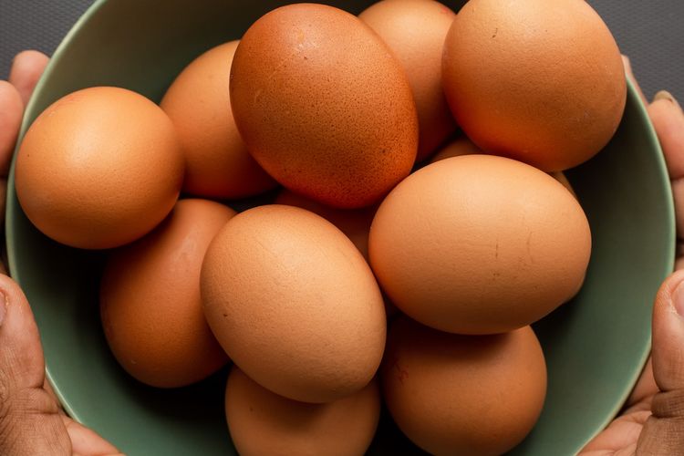Ilustrasi telur ayam. 