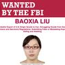 Bagaimana Buron FBI Baoxia Liu 18 Tahun Selundupkan Senjata AS ke Iran?