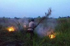 Kondisi di Muaro Jambi, Kebakaran Lahan Gambut Mulai Terjadi Jelang Musim Panas