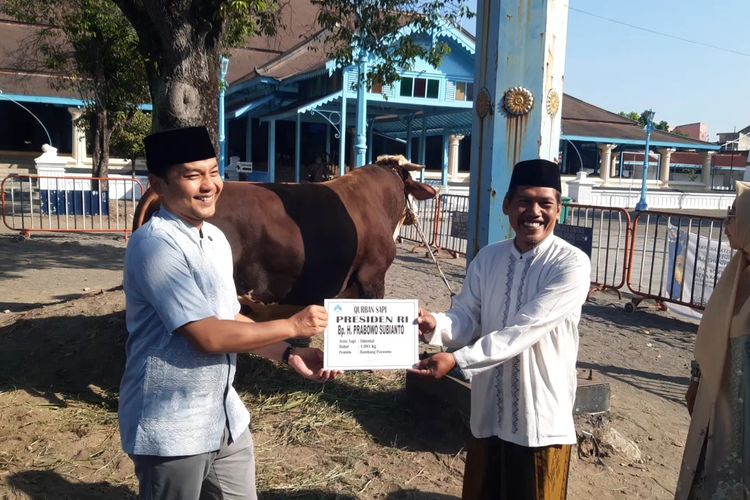Bambang dan Kevin, Sapi Kurban Presiden dan Wapres yang Disembelih di Masjid Agung Solo