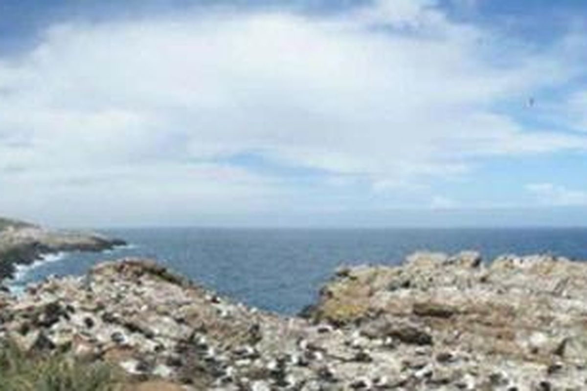 Inggris dan Argentina berperang 30 tahun lalu untuk memperebutkan gugusan pulau Falkland.