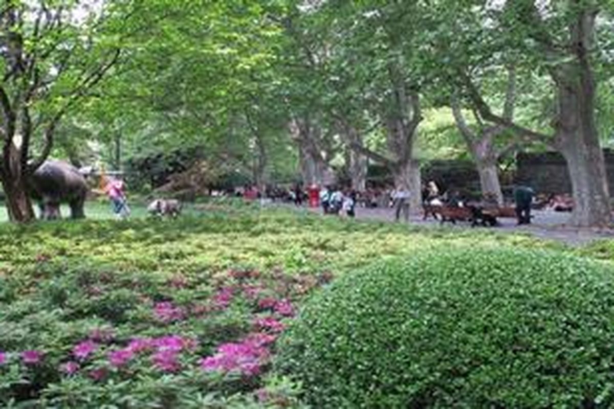 Indahnya Taman Kota Jingan di Shanghai, China