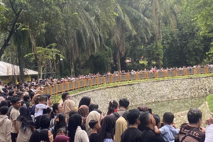 Ragunan Diminta Tinggalkan Sistem Bayar Tunai, Dinilai Rawan Kebocoran PAD