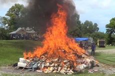 Polisi Musnahkan 4 Ton Ganja di Aceh Besar