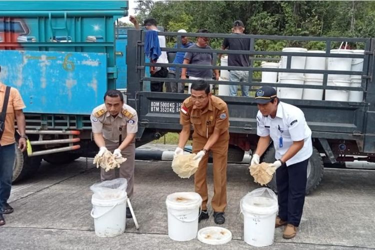 KKP antar ekspor 9,6 ton ubur-ubur ke Malaysia senilai Rp 5,9 miliar. 